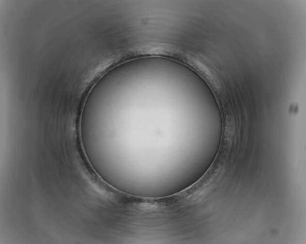 X0000090920394200708201811