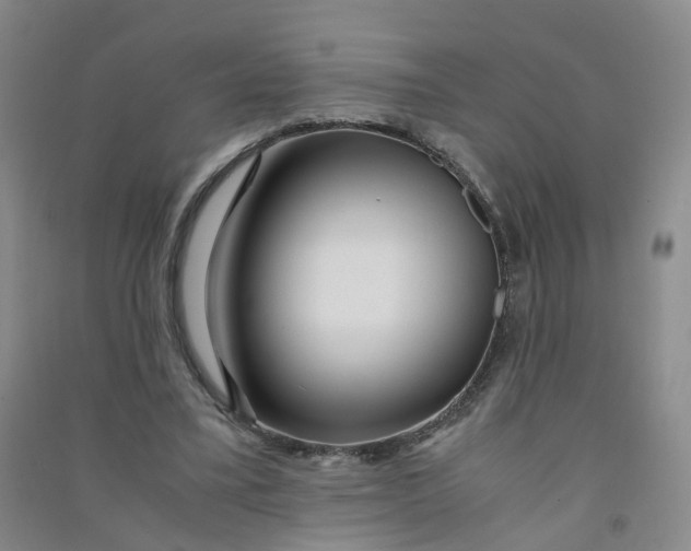 X0000090920395200708201811