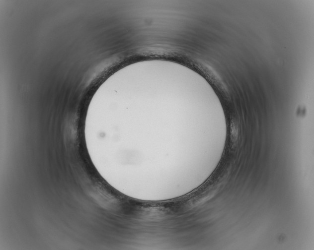 X0000090920396200708201811