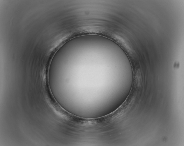 X0000090920398200708201810