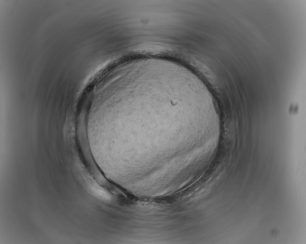 X0000090920399200708201810