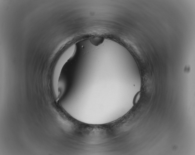 X0000090920400200708201810