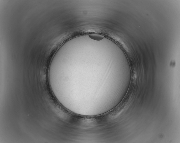 X0000090920402200708201810