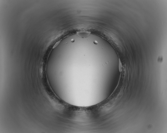 X0000090920404200708201810