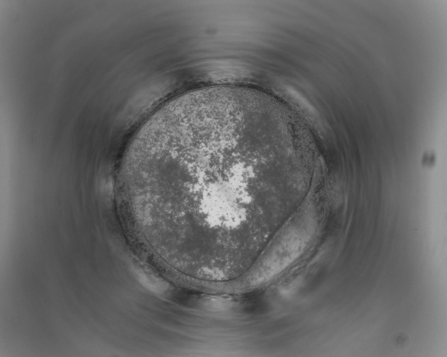 X0000090920405200708201810