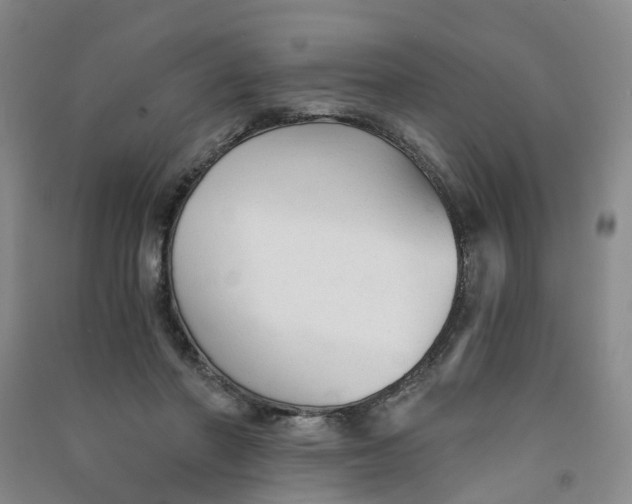 X0000090920406200708201810