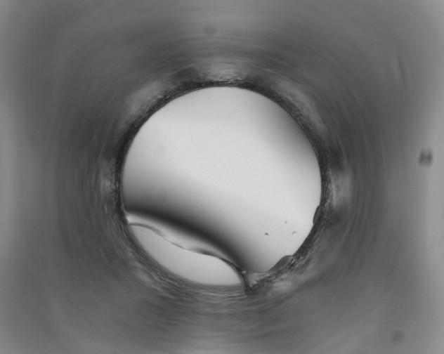 X0000090920407200708201810