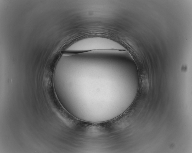 X0000090920408200708201810