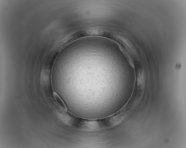 X0000090920409200708201810