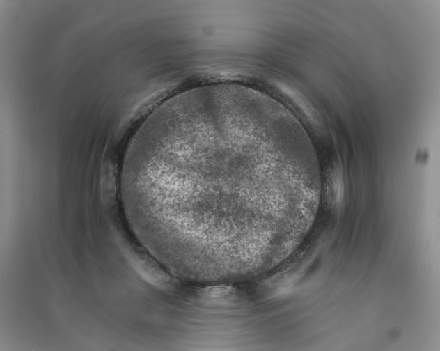 X0000090920410200708201810