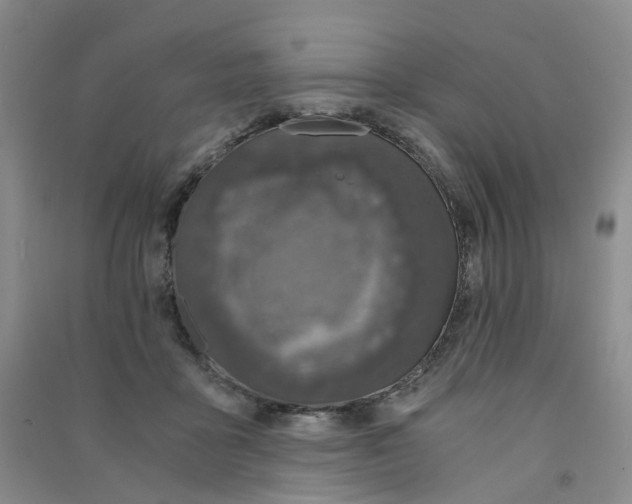 X0000090920411200708201810