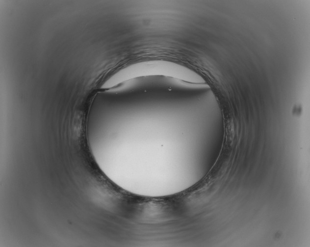 X0000090920412200708201810