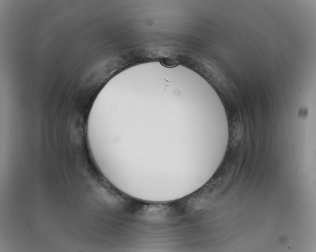 X0000090920414200708201810