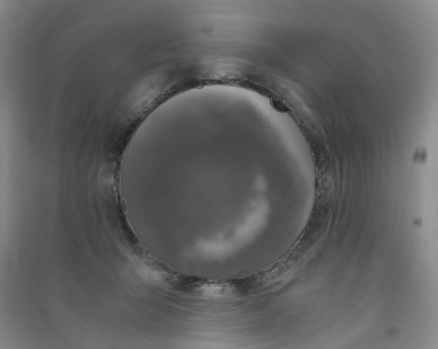 X0000090920415200708201810