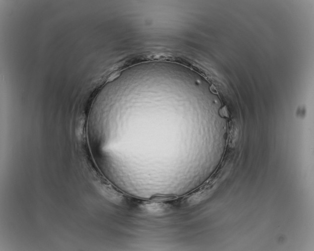 X0000090920417200708201810