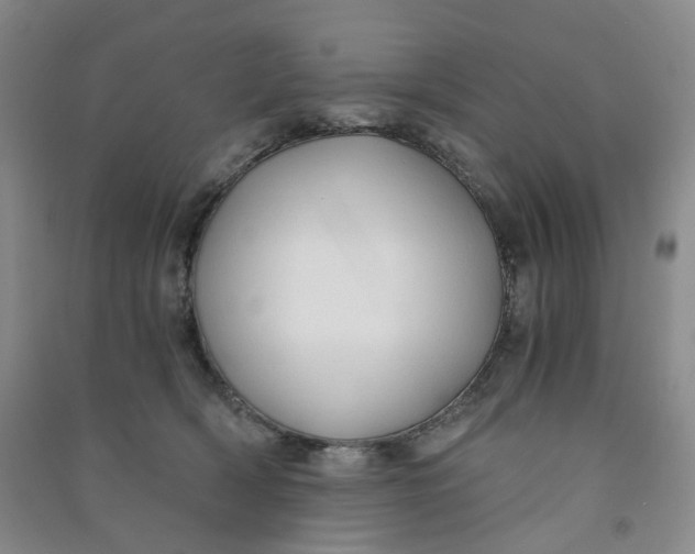 X0000090920418200708201810