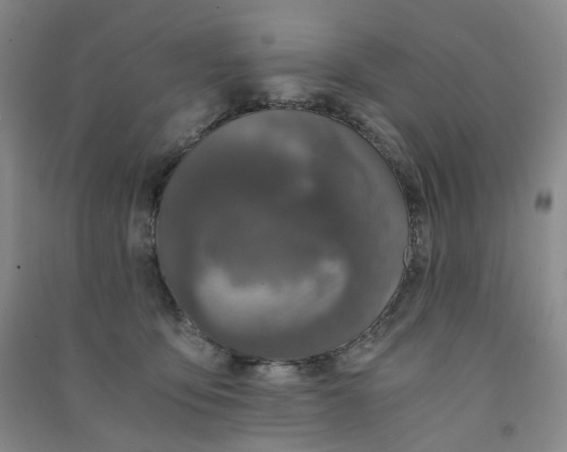 X0000090920419200708201810