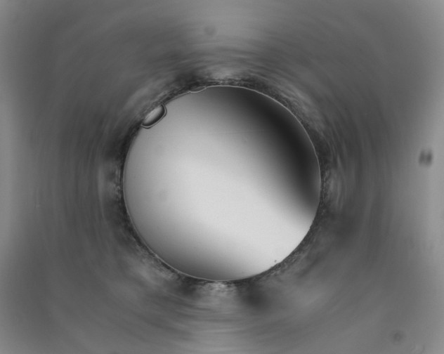 X0000090920421200708201810