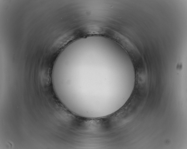 X0000090920422200708201810