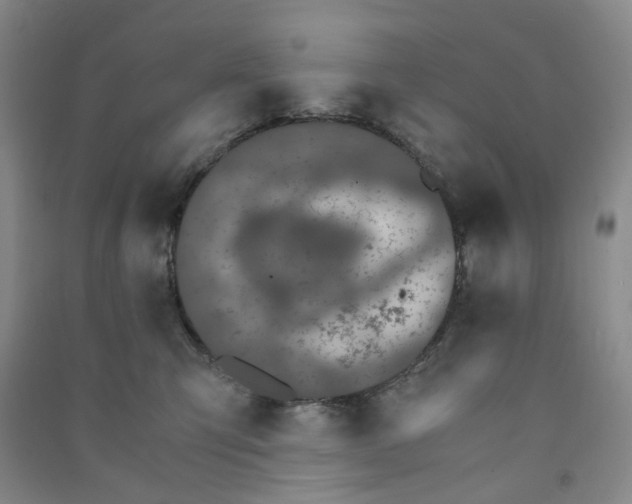 X0000090920423200708201810