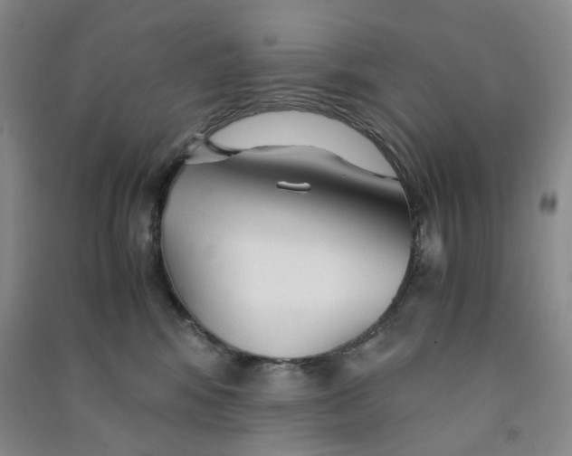 X0000090920424200708201810