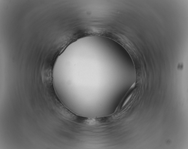 X0000090920425200708201810