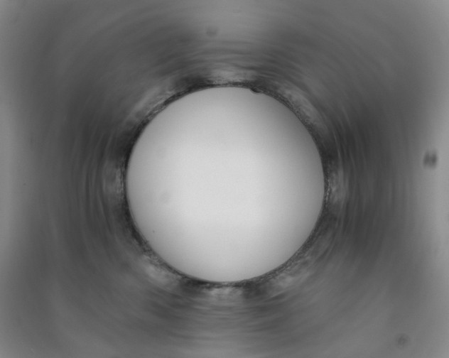 X0000090920426200708201810