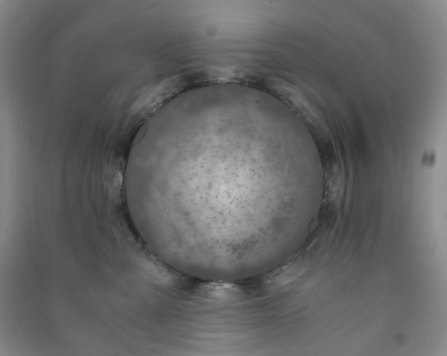 X0000090920427200708201810