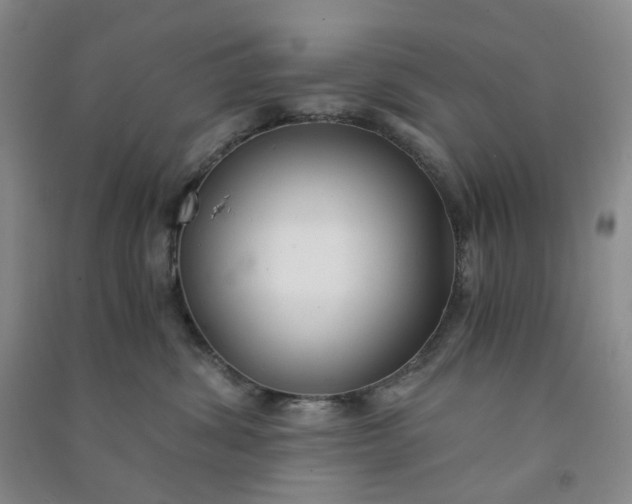 X0000090920428200708201810