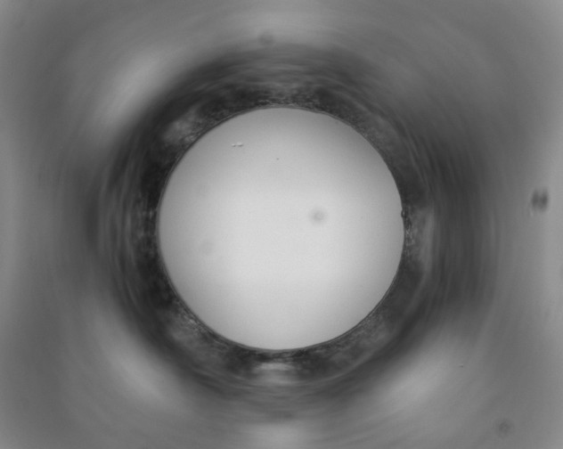 X0000090920430200708201810