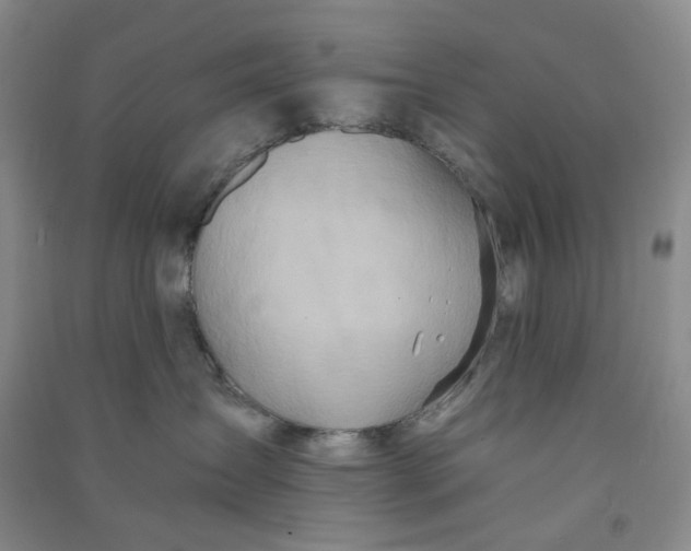 X0000090920431200708201810