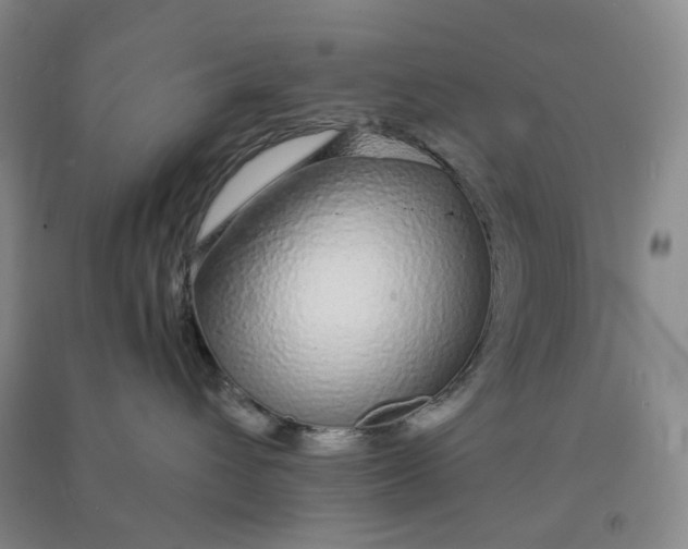 X0000090920432200708201810