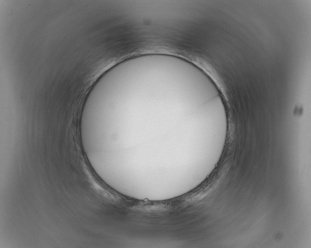 X0000090920433200708201809