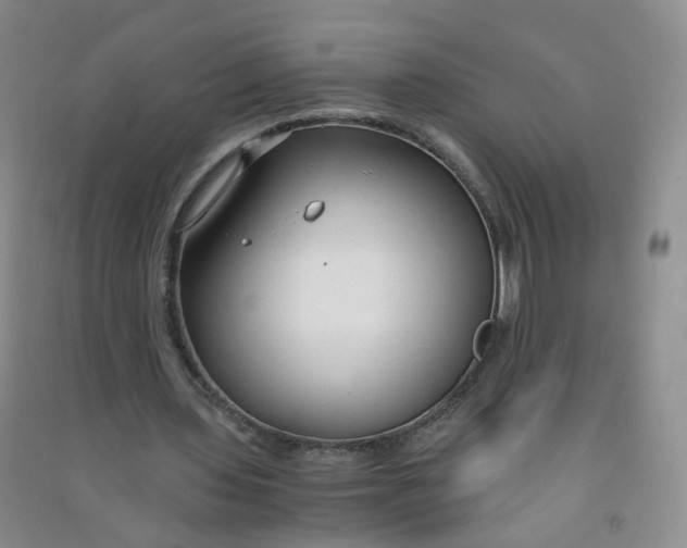 X0000090920435200708201809