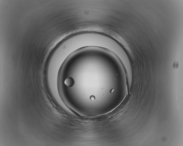 X0000090920436200708201809