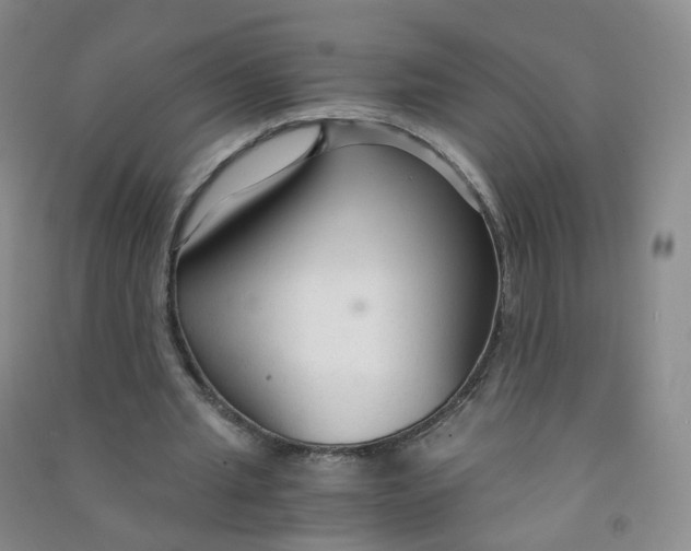 X0000090920437200708201809