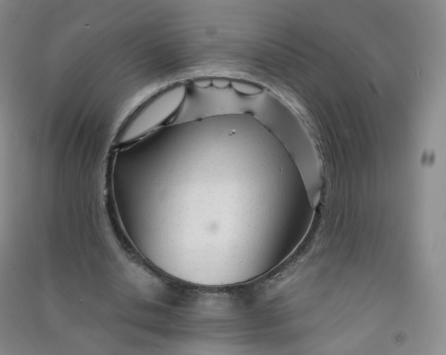 X0000090920438200708201809