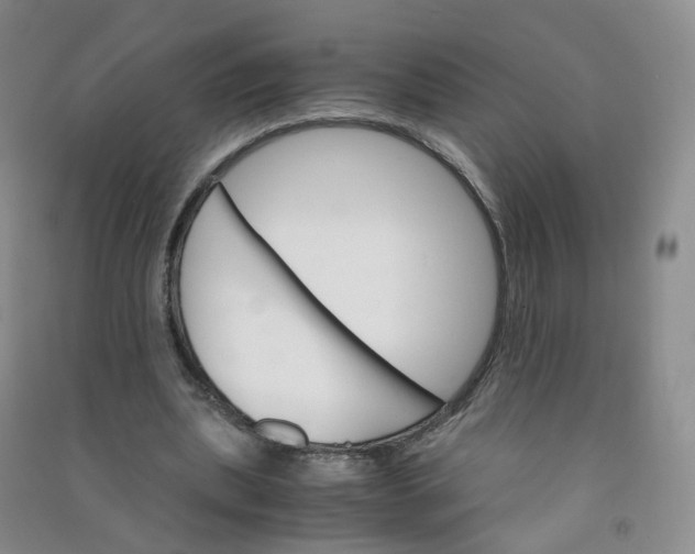 X0000090920439200708201809