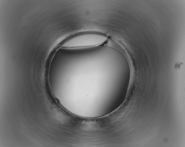 X0000090920440200708201809