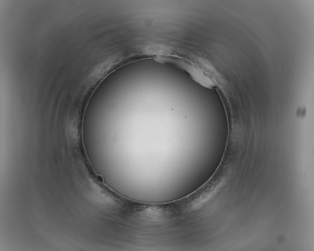 X0000090920441200708201809