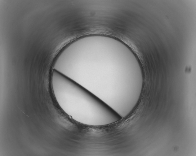 X0000090920442200708201809