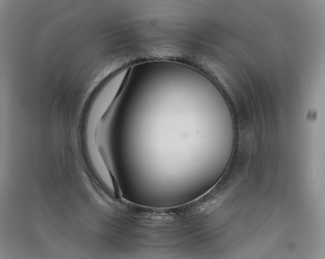 X0000090920443200708201809