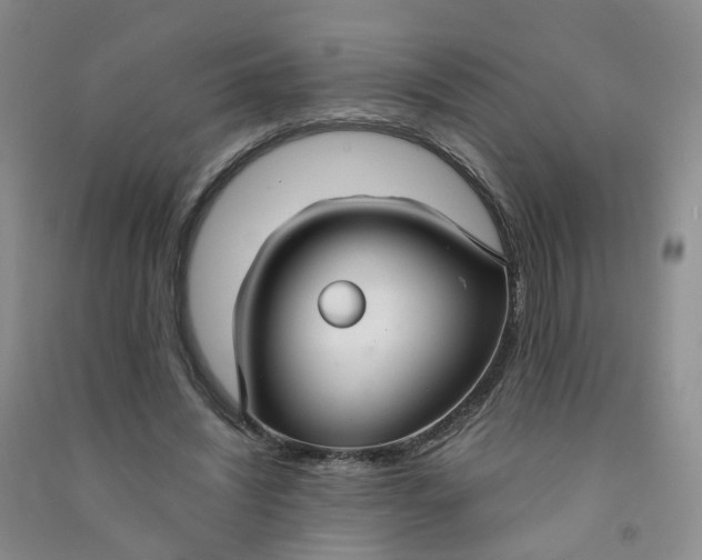 X0000090920444200708201810