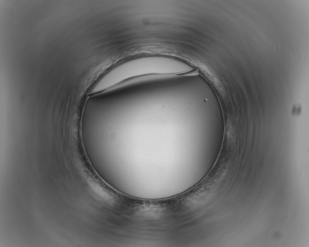 X0000090920445200708201810