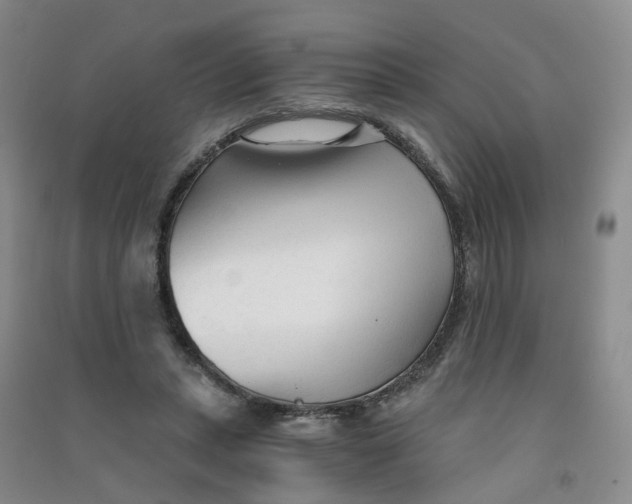 X0000090920447200708201810