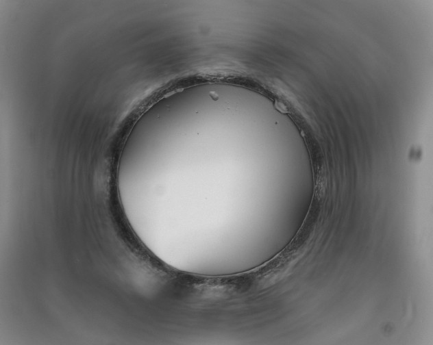 X0000090920448200708201810