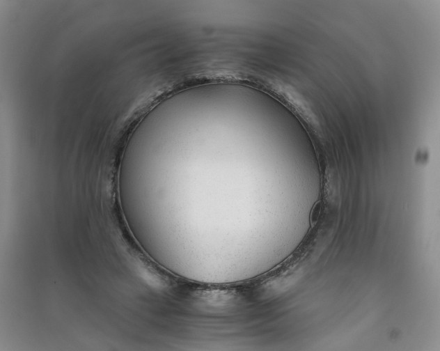 X0000090920449200708201810