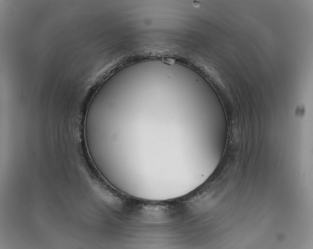 X0000090920450200708201810