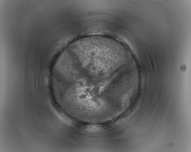 X0000090920451200708201810