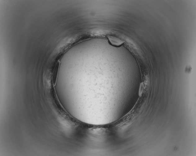 X0000090920452200708201810